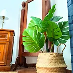 Volkkanrentals Cactus * Punta Mujeres