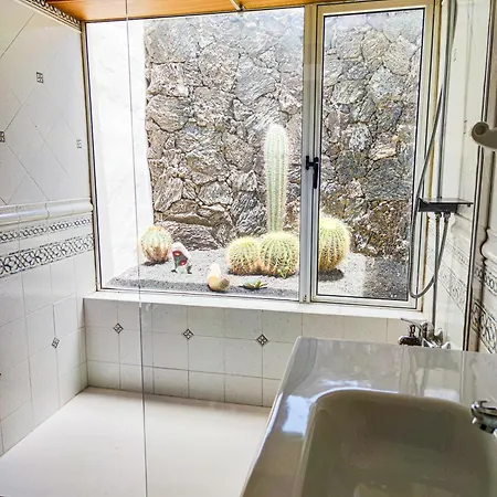 Villa Volkkanrentals Cactus *